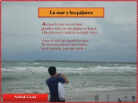 /album/lunamia-ediciones/image-24-jpg/